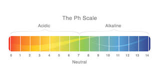 Ph Levels Diagram Catalogue Of Schemas