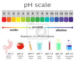 Ph Wert Skala Fur Saure Und Alkalische Losungen Info Saure Basen Gleichgewicht Wandposter Poster Ph Reines Wasser Tomatensaft Myloview De