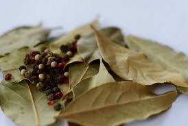 Lorbeer Mystisches Heilkraut Schnu Die Krauterhexe Rezept Krauter Pflanzen Naturheilkunde Heilpflanzen