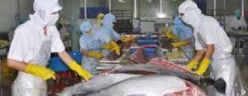 Perubahan mutu dan umur simpan ikan (suhu penyimpanan ikan; Ekspor Tuna Menurut Negara Tujuan Citra Cendekia Indonesia