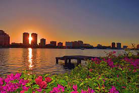 We are not affiliated with any wire flower services! Bougainvillea Flowers In West Palm Beach Florida Photograph By Ken Figurski