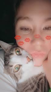 My pretty boy rhino has went missing. I have posted him