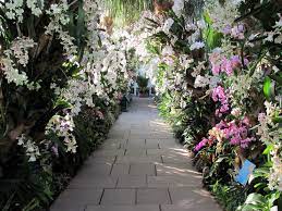 Restoration of the iconic enid a. Restoring A National Icon The Enid A Haupt Conservatory Events The Garden Conservancy