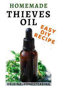 Thieves Oil Recipe Homemade All Purpose Essential Oil Blend Thieves Oil Recipe Thieves Oil Essential Oil Recipes