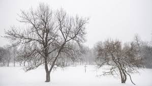 Pagesotherbrandwebsitenews and media websitemetfigyelővideosjégeső ma délután a partiumi. Nem Viccel Az Idojaras A 20 Fok Melle Ma Jegeso Is Tarsulhat Agrarium Mezogazdasag Es Elelmiszeripar