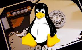 We did not find results for: Copias De Seguridad Con Distribuciones Linux Dedicadas