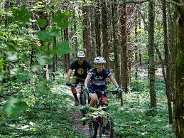 It's no wonder because they boast of north america's lower log jammin: Green River Lake State Park Ky Parks