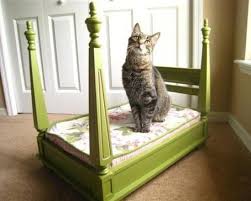 543 results for cat hammock bed. 10 Crazy Awesome Diy Cat Beds That Anyone Can Make
