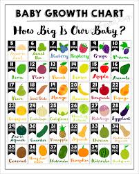 Printable Baby Growth Chart How Big Is Our Baby Baby