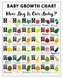 printable baby growth chart how big is our baby baby