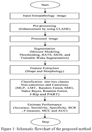 classification of histopathological images of breast