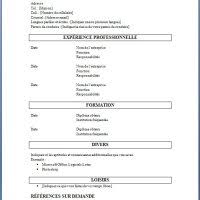 Exemple De Cv De Coiffeur Ou Coiffeuse Exemple De Cv Info