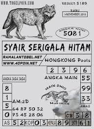 Togelpelangi Serigala Hitam Serigala Serigala Putih