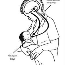 1 cawan santan pekat boleh gantiikan dgn susu segar atau susu cair. Tip Paling Penting Petua Banyakkan Susu Badan Selepas Bersalin