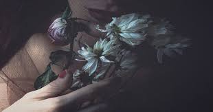 La regia di la ragazza dei tulipani è affida a justin chadwick. Cambiare L Acqua Ai Fiori Dalle Pagine Di Un Libro Al Cuore Di Lisa La Ragazza Dei Cimiteri Hermesmagazine