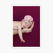 Xbabe.com brings you the most beautiful women in the world, updated daily. Avas Flowers Stickers Redbubble
