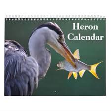 Heron Bird 2021 Calendar Zazzle Com 2021 Calendar Calendar Heron