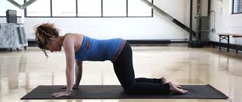 The asana does not have formally named variations, but several playful variants are used to assist beginning practitioners to become comfortable in the pose. Yoga Pose Of The Week Downward Dog Adho Mukha Svanasana Mood Boosting Yoga Yoga Postures Yoga Poses