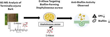 Image result for Multidentia sp. A