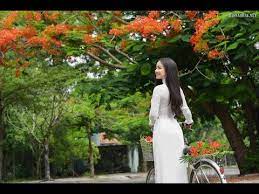 Chụp ảnh áo dài với hoa phượng tháng 5 - MissAoDai | Áo dài, Chụp ảnh, Áo