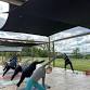 Yoga — Lavender Bluff Farm