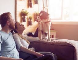 Kids can get poisoned if they drink the liquid in nicotine delivery devices or refills. Why Should You Stop Smoking Or Vaping Near Your Pets