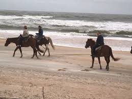 Wintry Ride On Flagler Beach Picture Of Equestrian