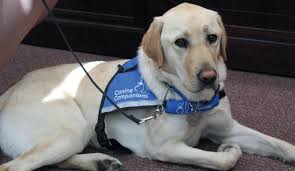 The Port Times Record