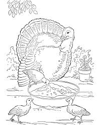 Farm Animal Coloring Page Farm Turkey Farm Animal Coloring Pages Animal Coloring Pages Turkey Coloring Pages