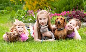 700 sw st lucie w blvd port saint lucie, fl 34986. Treasure Coast Pest Control