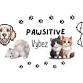 Pawsitively Fall Adoption Event - Art Glass Emporium, 9600 OK-33 Event Image