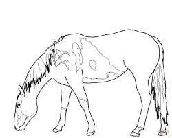 Help your child develop art skills with these horse coloring pages. Detailed Wild Horse Coloring Pages Novocom Top