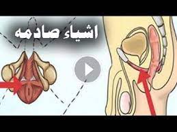 هل تعلم ماذا يحدث لجسد الرجل والمرأه بعد الجماع او فعل العاده السريه ولماذا امرنا الرسول بالاغتسال blog posts blog youtube