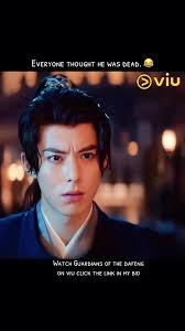 Guardians of the Dafeng: A Hilarious CDrama Experience