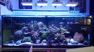 Affordable led lighting for growers and makers. Simple And Cheap Diy Led Light Shade Reef2reef Saltwater And Reef Aquarium Forum