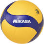 Volleyball price from www.amazon.com