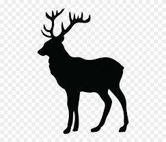 We did not find results for: Free Png Stag Silhouette Png Deer Silhouette Clipart Transparent Png 480x646 1176729 Pngfind