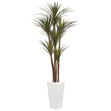 Yucca tree in gray cylinder planter artificial nearly natural 4' home decoration. Nearly Natural 6 5 Ft Giant Yucca Artificial Tree In White Planter Uv Resistant 9647 The Home Depot