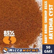 I love fish tacos but am not a big fan of corn tortillas. Buy Brine Shrimp Eggs Artemia Cysts Premium Quality Online At Lowest Price In India Www Microworms In