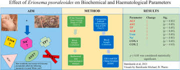 Image result for Eriosema psoraleoides