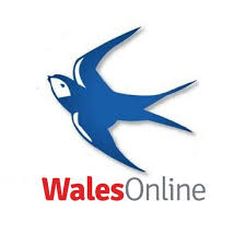 Aug 01, 2020 · an enhanced, modern cardiff city forum built with the user in mind. Cardiff City Online Cardiffcitylive Twitter