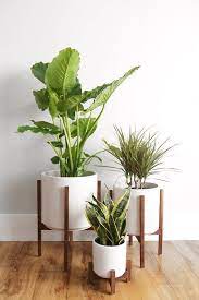 Potey ceramic planter flower plant pot. Indoor Plants In Pots For Your Home Plant Decor Indoor House Plants Decor Plant Decor
