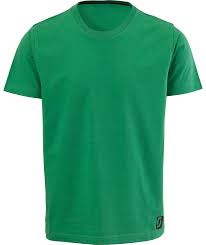 Green Polo Shirt Png Image Green Polo Shirts Shirts Polo Shirt