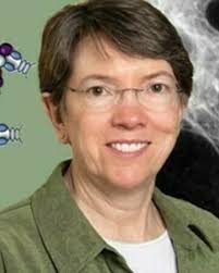 Molecular Biology // Warren Drug Discovery // University of Notre Dame