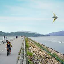 Trail runners association of hong kong. Biking In Hong Kong Best 15 Cycling Trails With Kids I Little Steps