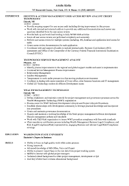 Feel free to skip through the examples that don't apply to you. Technology Management Resume Samples Velvet Jobs