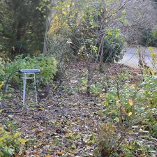 Maybe you would like to learn more about one of these? How To Create A No Till Garden Healthier Soil And Less Work Dengarden