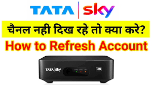 Keep the black and the red on one side and the green and the yellow on the other side. Tata Sky Not Working After Recharge Refresh Tata Sky Setup Best Trick 2021 Etechbag