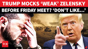 'Don't Get Along...': Trump Takes 'Weak Leader' Jibe At Zelensky? Lauds  'Tough Cookie' | Watch