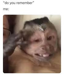 LeeAndra Yanez (@leeandrayanez)